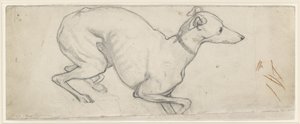 Study of a Greyhound by Ford Madox Brown